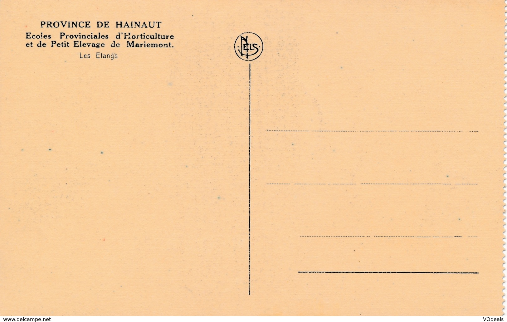 CPA - Belgique - Mariemont - Ecoles Provonciales D'Horticulture Et De Petit Elevage - Morlanwelz