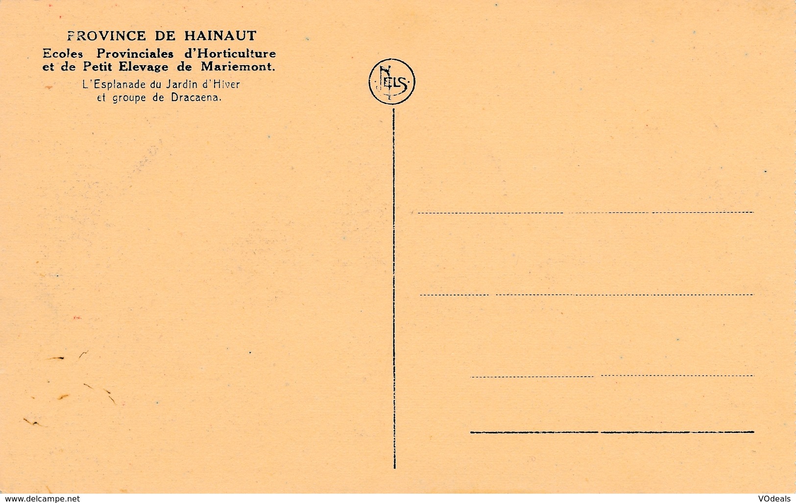 CPA - Belgique - Mariemont - Ecoles Provonciales D'Horticulture Et De Petit Elevage - Morlanwelz