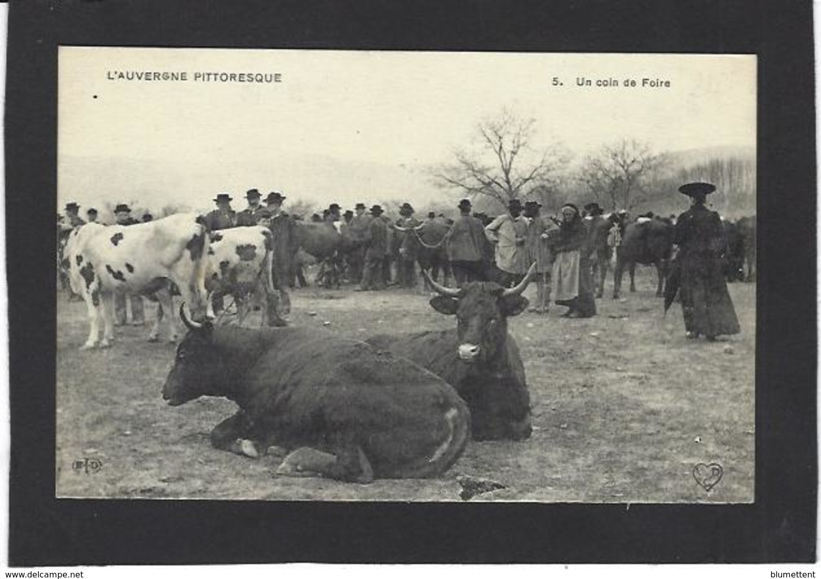 CPA Auvergne Région Non Circulé Type Métier Marché Market - Auvergne