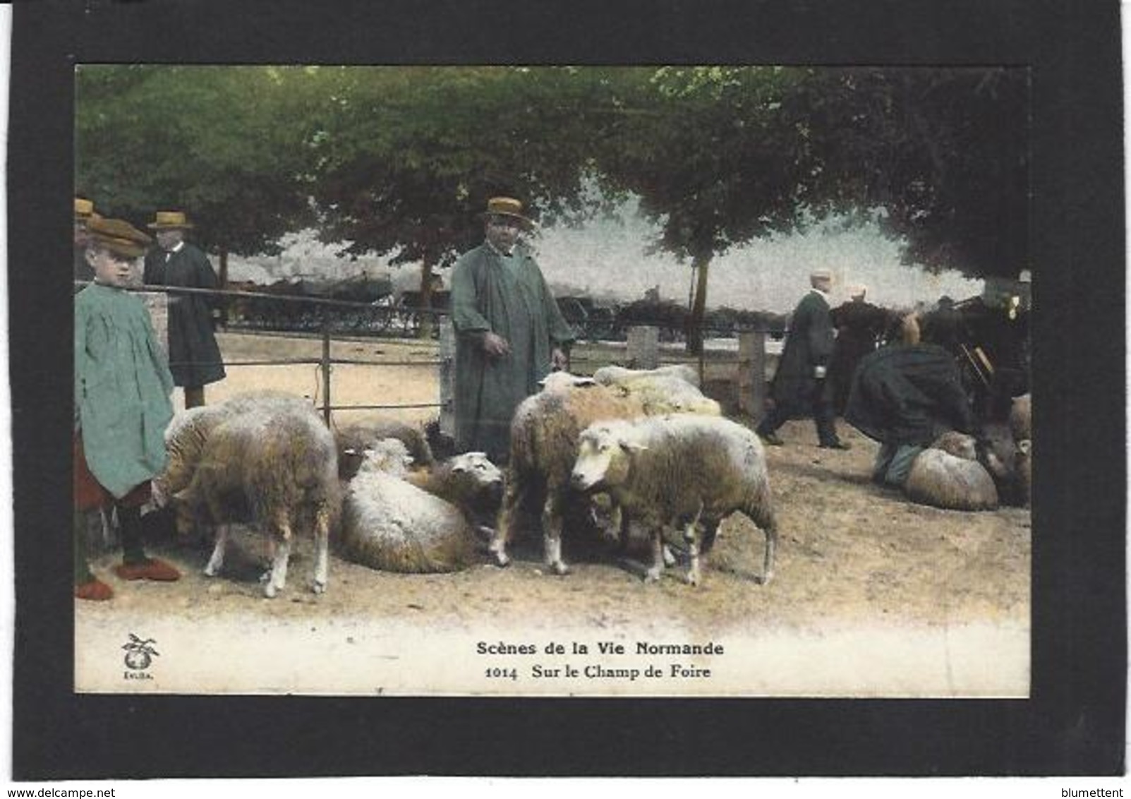 CPA Normandie Région Non Circulé Type Métier Marché Market - Haute-Normandie