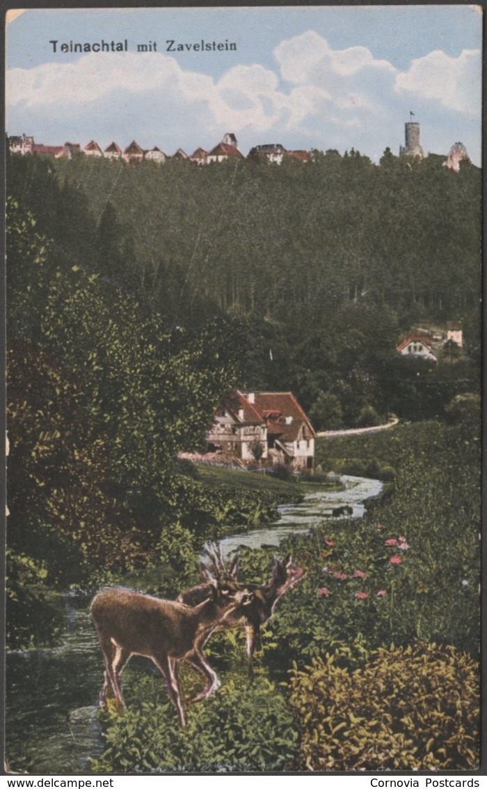 Teinachtal Mit Zavelstein, C.1910s - Fuchs AK - Bad Teinach