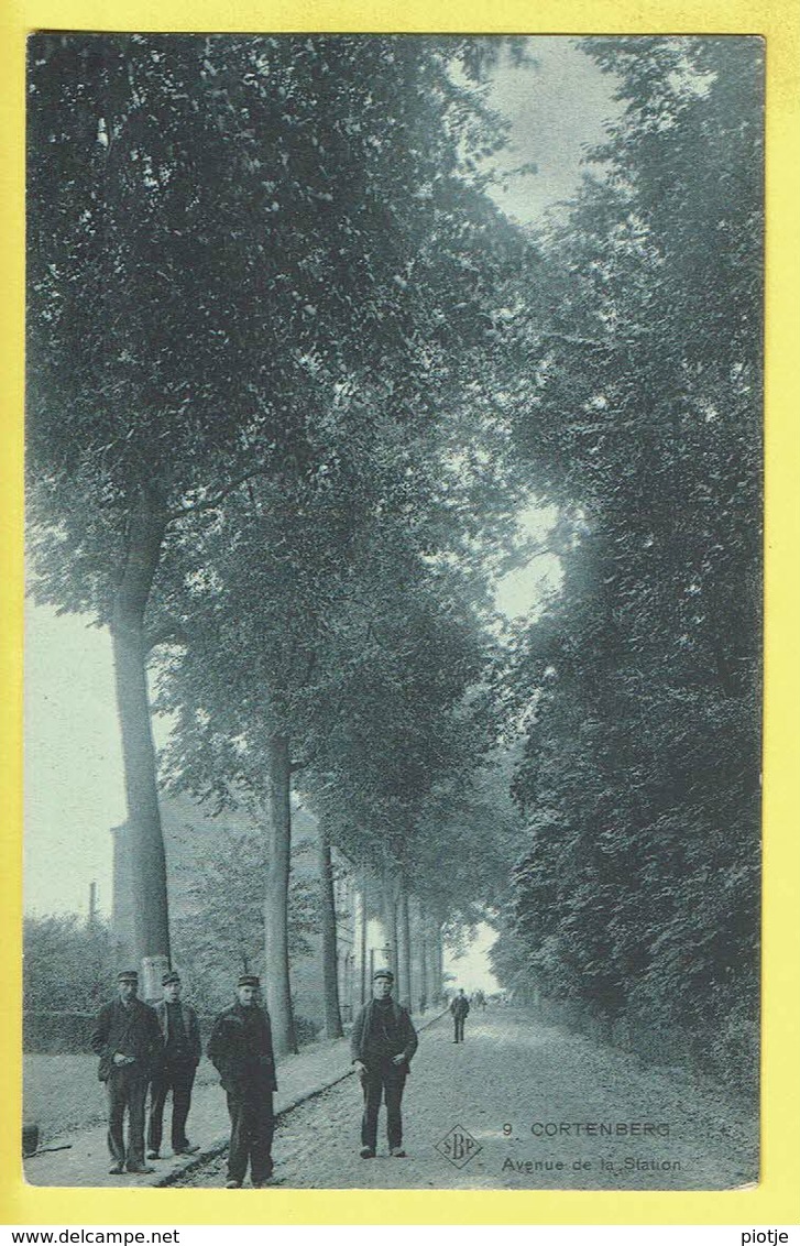 * Kortenberg - Cortenberg (Vlaams Brabant) * (SBP, Nr 9) Avenue De La Station, Animée, Allée, Rare, Old CPA Unique, TOP - Kortenberg