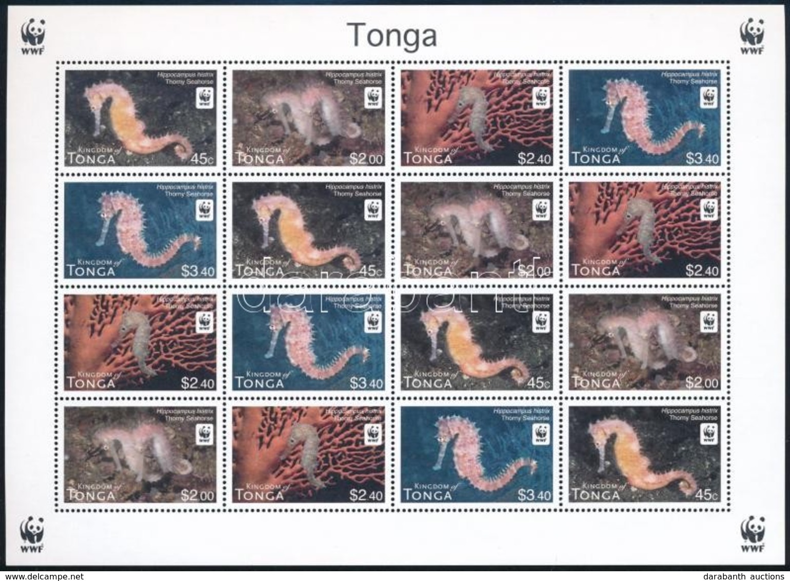 ** 2012 WWF Csikóhalak 4 Sort Tartalmazó Kisív Mi 1768 - 1771 - Altri & Non Classificati