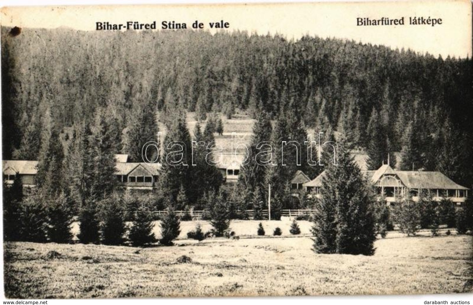 T2 1907 Biharfüred, Stana De Vale; Nyaralók / Villas - Unclassified