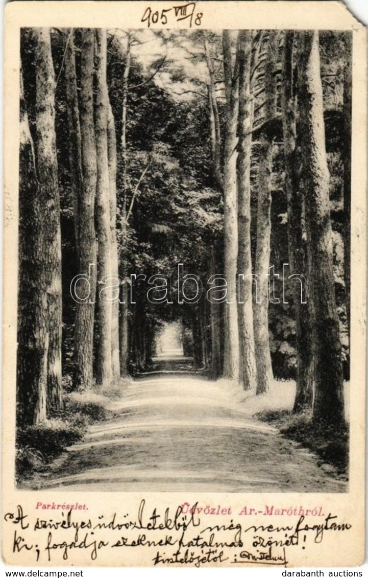 T4 1905 Aranyosmarót, Zlaté Moravce; Park. Kiadja Brunczlik I. / Park, Alley (EM) - Ohne Zuordnung