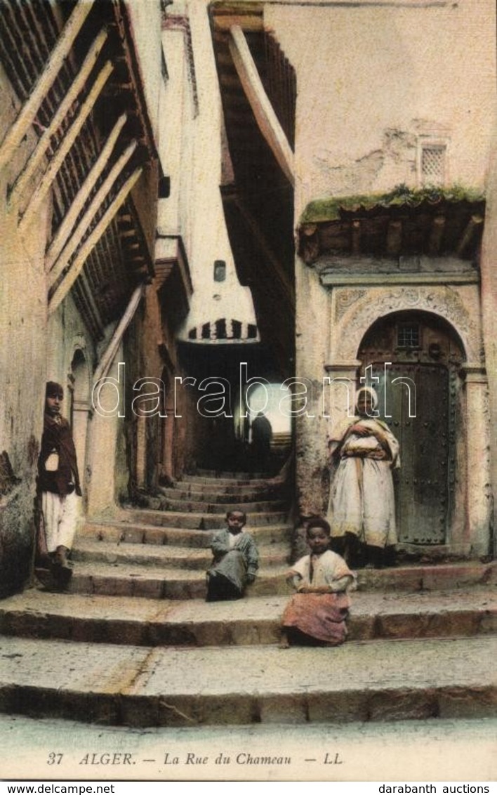 ** T1 Algiers, Alger; La Rue Du Chameau / Street - Non Classificati