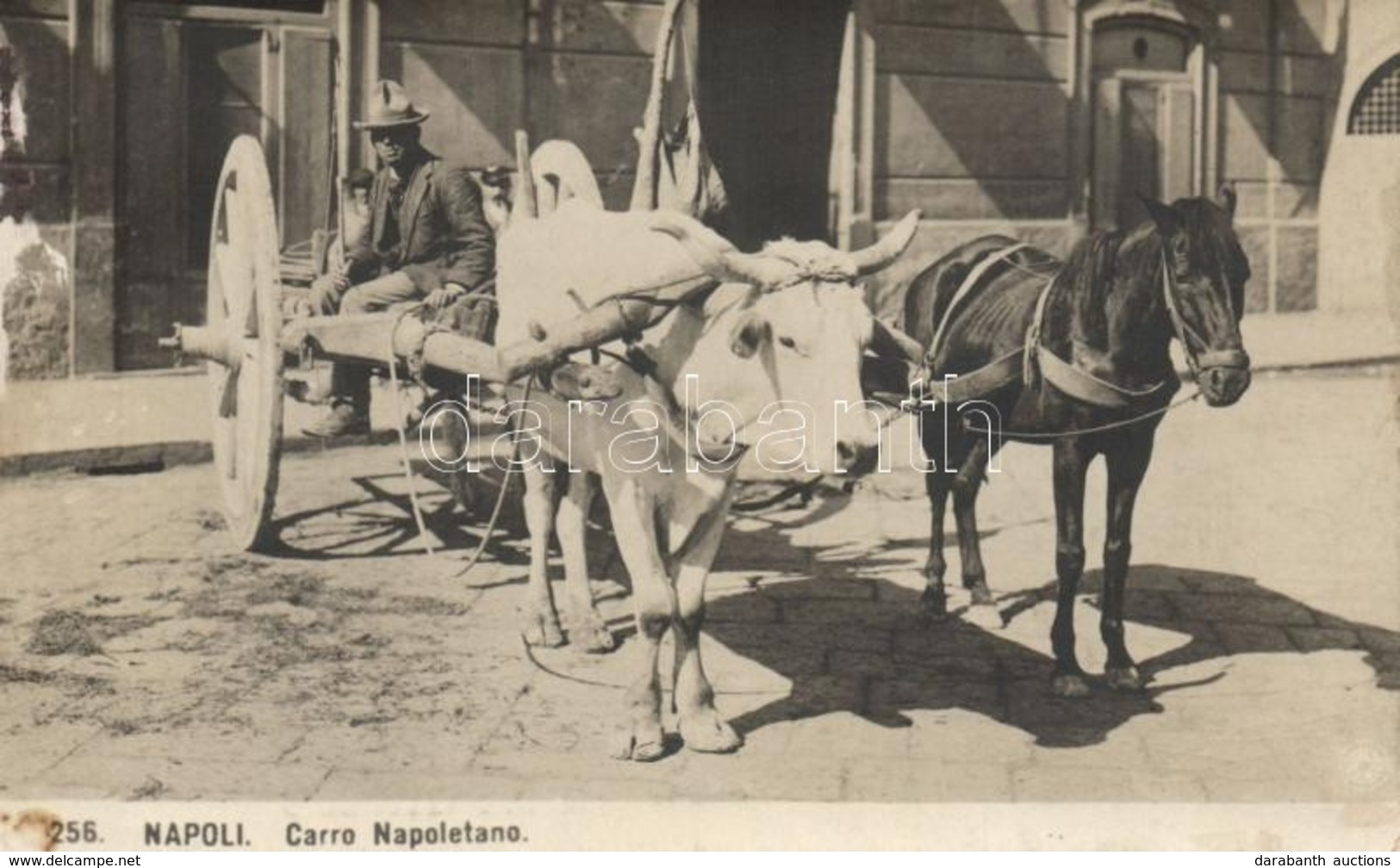 ** T2 Naples, Napoli; Folklore, Neapolitan Chariot, Bullock, Horse - Non Classificati