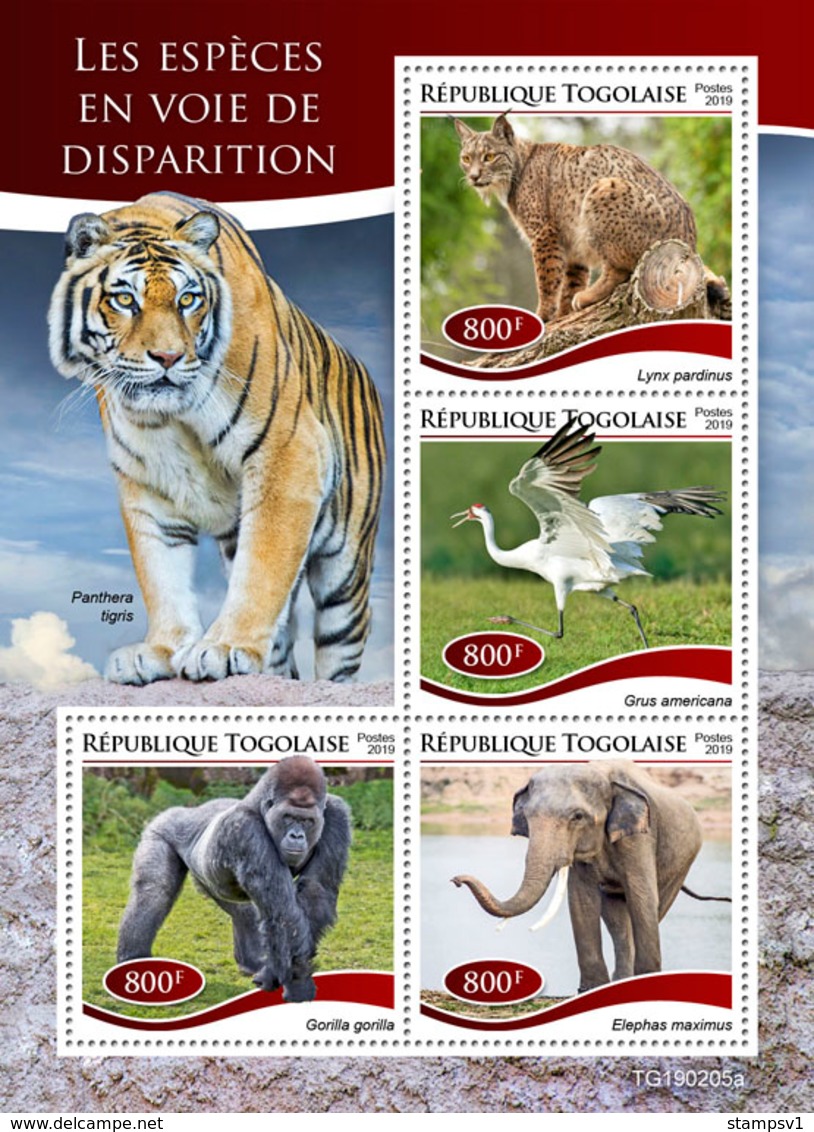 Togo.  2019 Endangered Species. (0205a)  OFFICIAL ISSUE - Gorillas