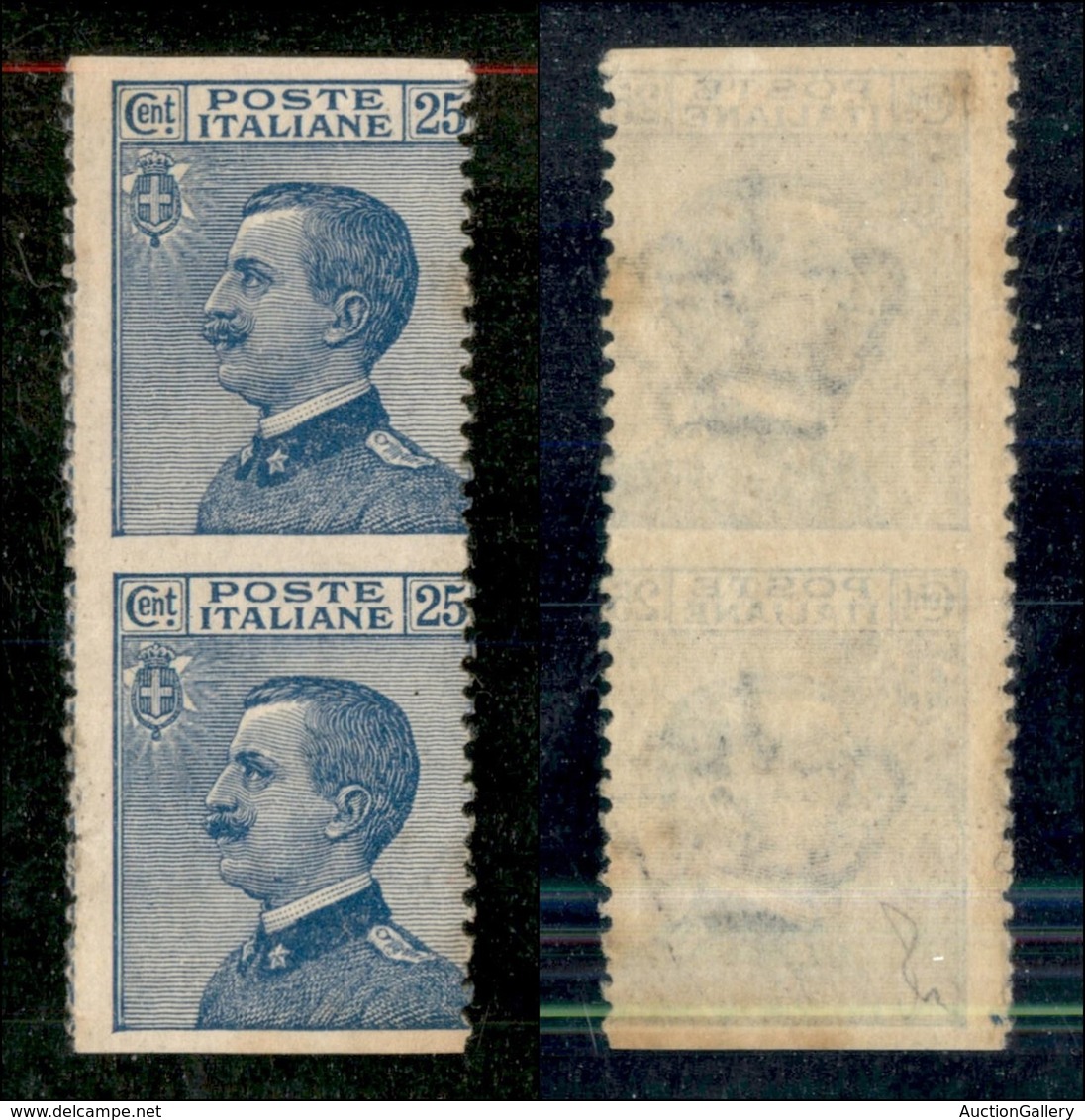 Regno - Posta Ordinaria  - 1908 - 25 Cent Michetti (83f) - Coppia Verticale Non Dentellata Orizzontalmente - Gomma Integ - Other & Unclassified