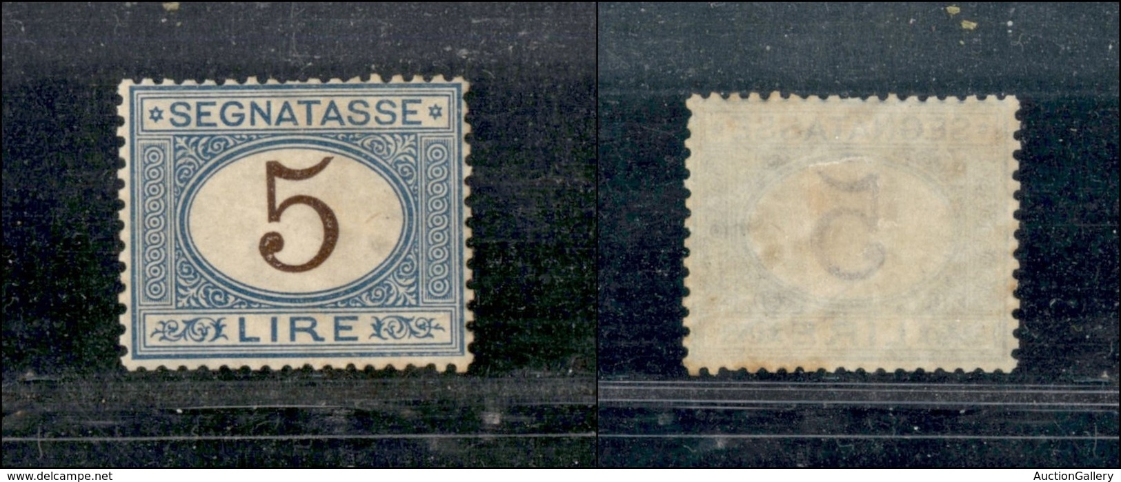Regno - Segnatasse - 1903 - 5 Lire (30) - Gomma Originale (400) - Other & Unclassified