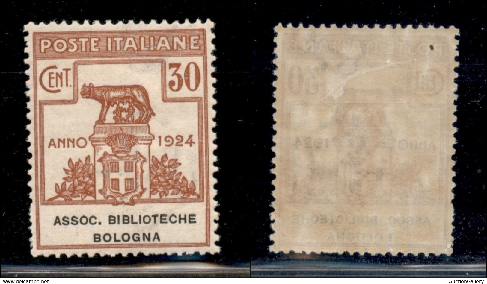 Regno - Parastatali  - 1924 - 30 Cent Biblioteche Bologna (3) - Gomma Originale - Ottima Centratura (120) - Sonstige & Ohne Zuordnung