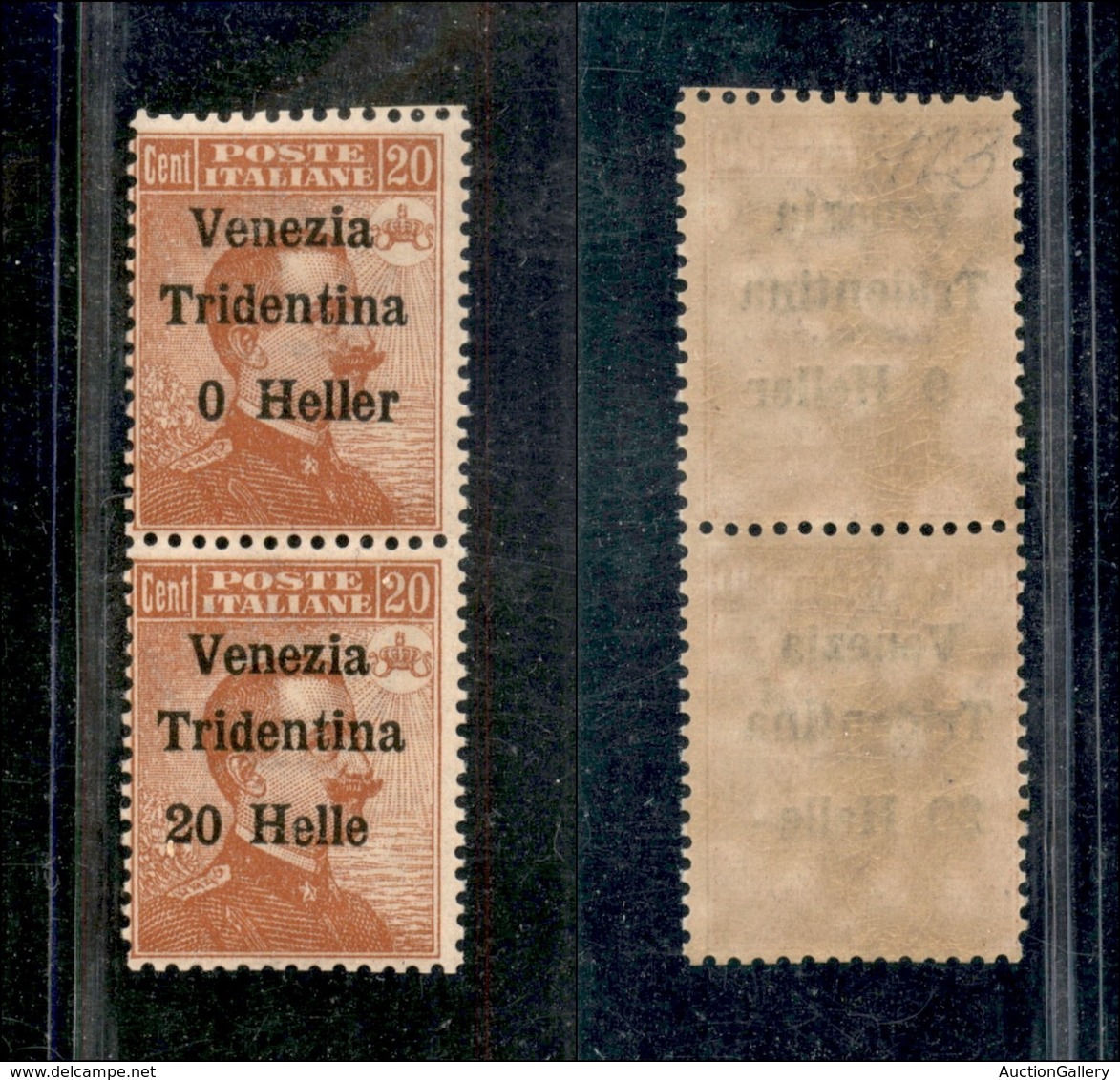 Occupazioni I Guerra Mondiale - Trentino-Alto Adige - 1918 - 20 Heller Su 20 Cent (30c+30d) Coppia Con Errori (0 Heller  - Altri & Non Classificati