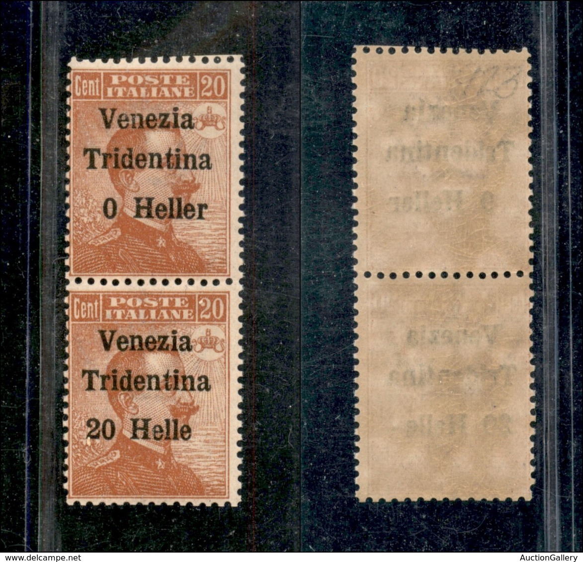 Occupazioni I Guerra Mondiale - Trentino-Alto Adige - 1918 - 20 Heller Su 20 Cent (30c+30d) Coppia Con Errori (0 Heller  - Other & Unclassified