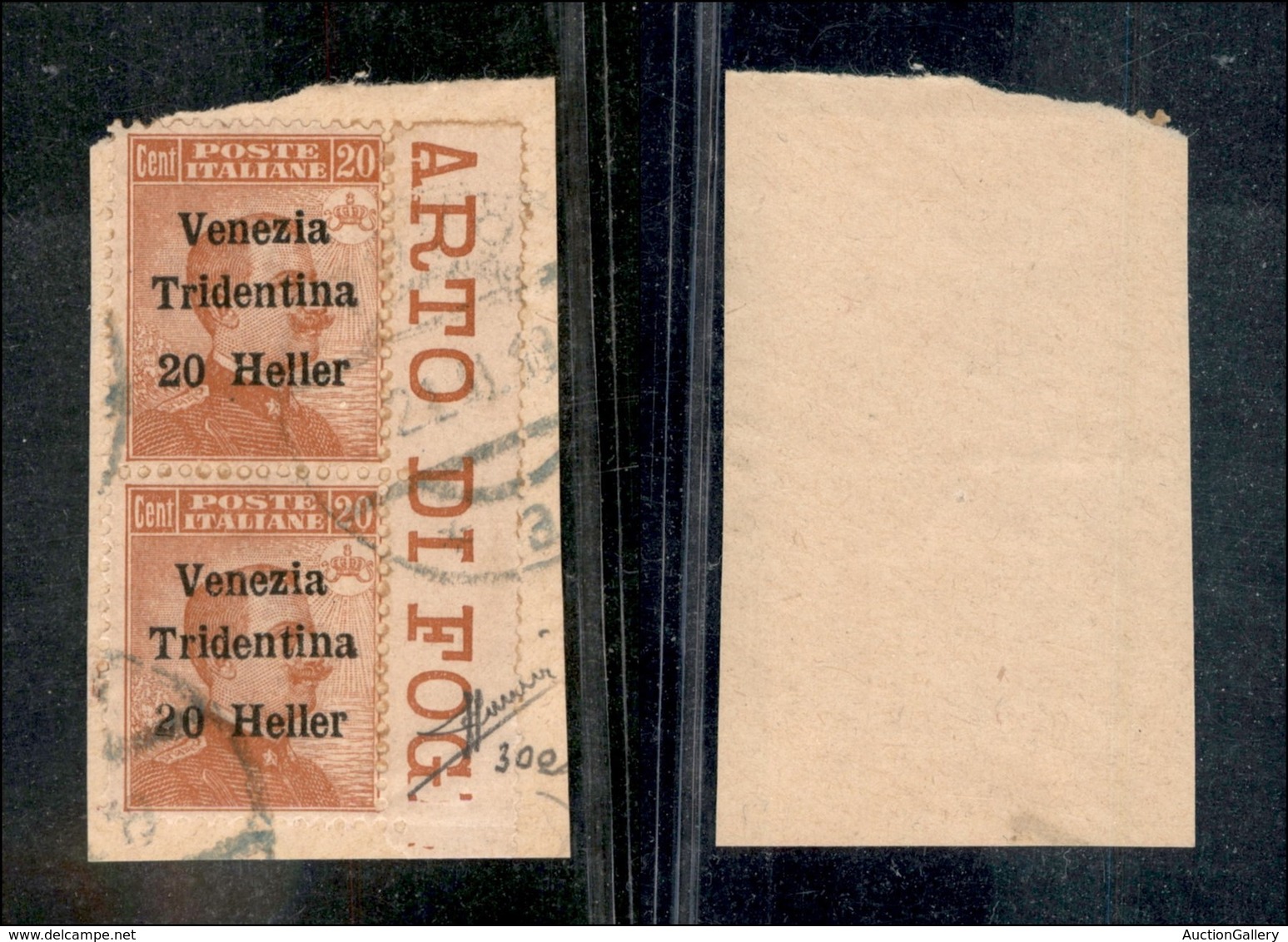 Occupazioni I Guerra Mondiale - Trentino-Alto Adige - 1918 - 20 Heller Su 20 Cent (30+30e) Coppia Verticale Usata Su Fra - Other & Unclassified