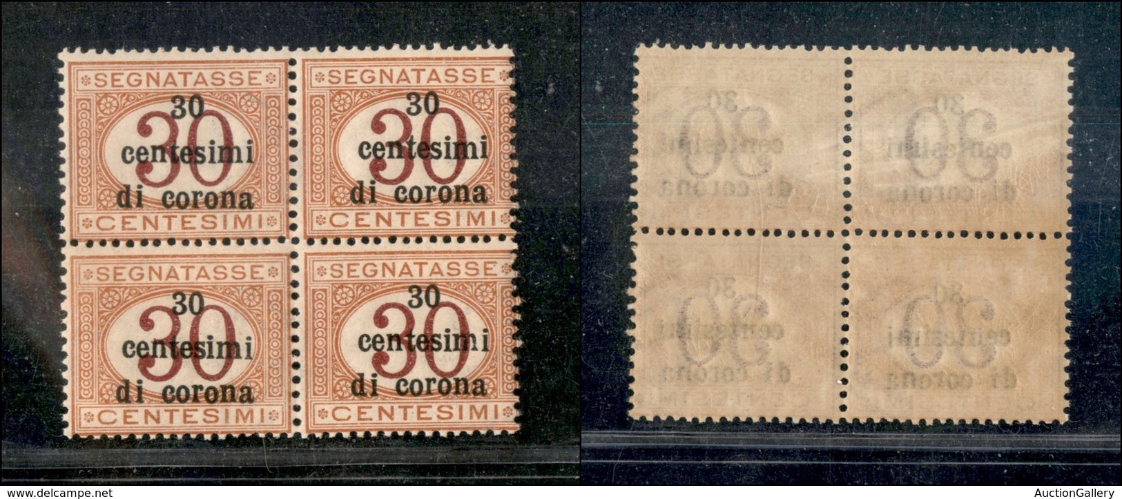 Occupazioni I Guerra Mondiale - Trento E Trieste - 1919 - 30 Cent (4) In Quartina - Gomma Integra (220+) - Other & Unclassified