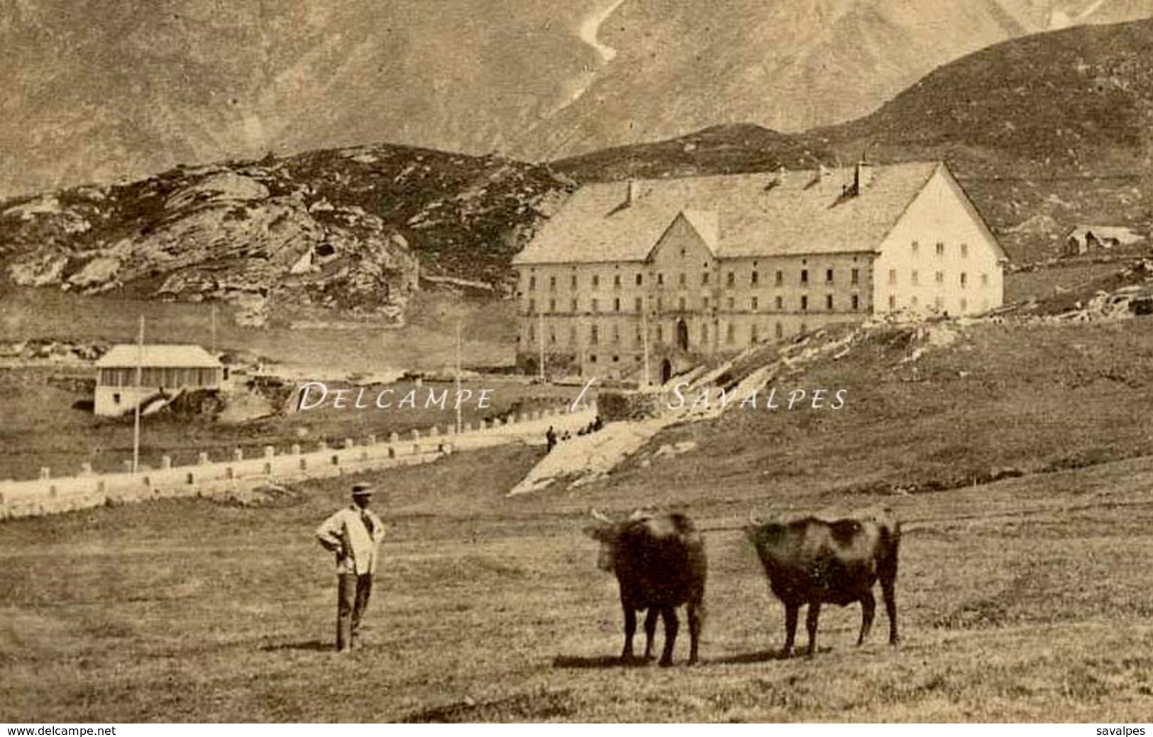 Suisse Valais Brigue * Hospice Col Du Simplon - Photo Albumine 1881 - Voir Scans - Anciennes (Av. 1900)
