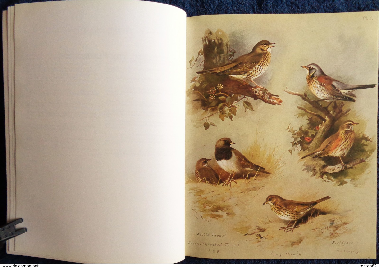 Archibald Thorburn's - BIRDS - The Complete Illustrated - Wordsworth Editions - ( 1997 ) . - Fauna