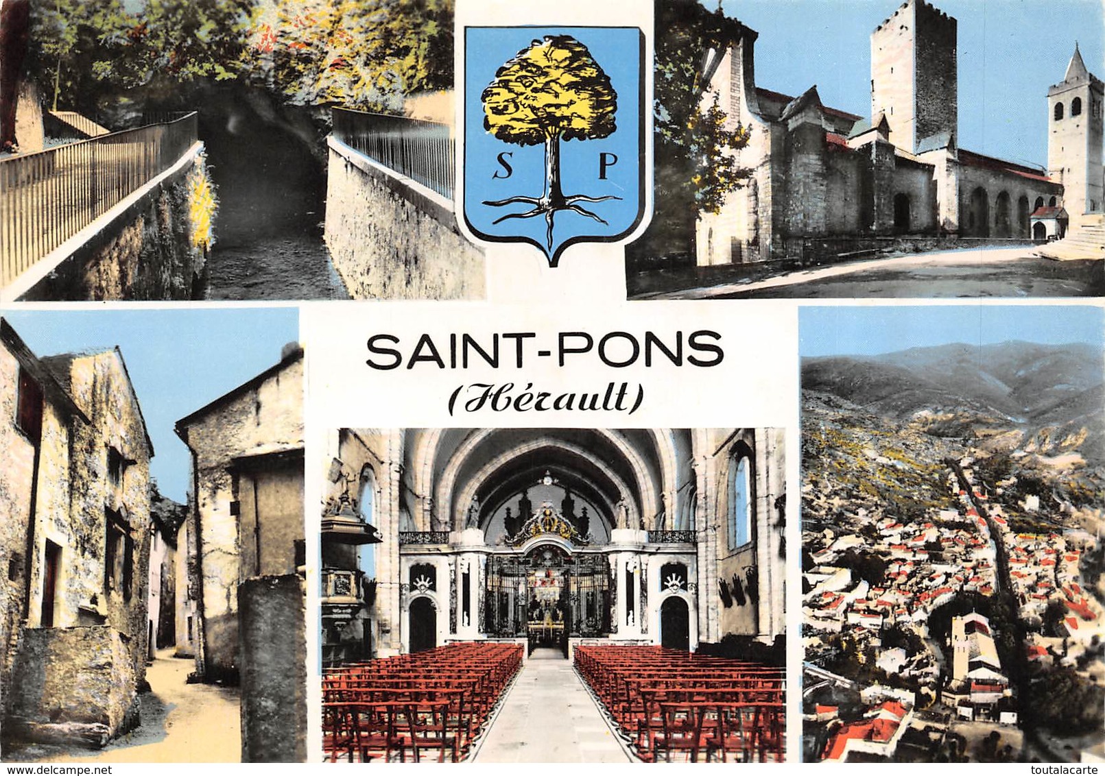 CPSM 34 ST PONS MULTI VUES Grand Format 15 X 10,5 Cm - Saint-Pons-de-Thomières