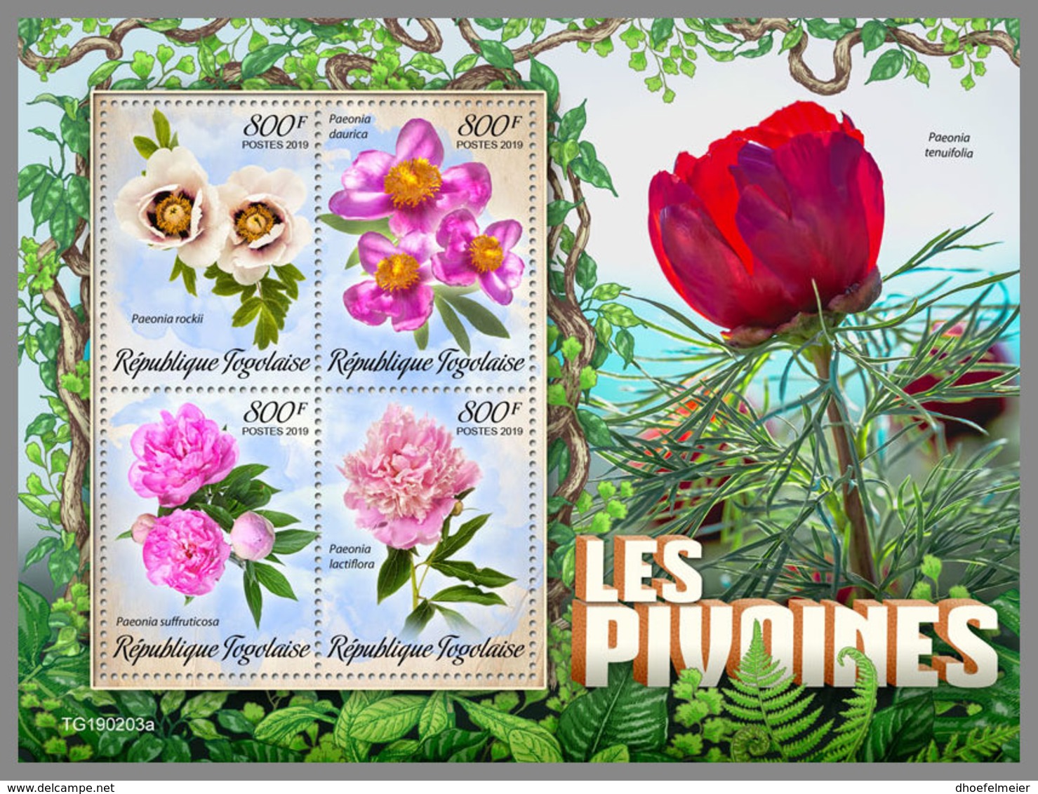 TOGO 2019 MNH Peonies Pfingstrosen Pivoines M/S - OFFICIAL ISSUE - DH1926 - Autres & Non Classés