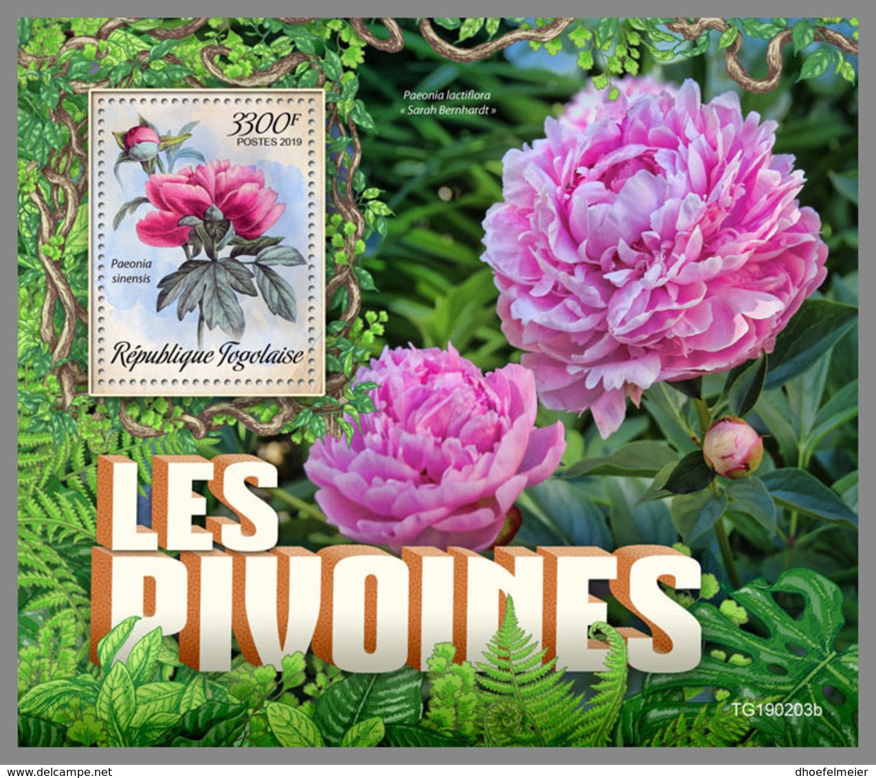 TOGO 2019 MNH Peonies Pfingstrosen Pivoines S/S - OFFICIAL ISSUE - DH1926 - Autres & Non Classés