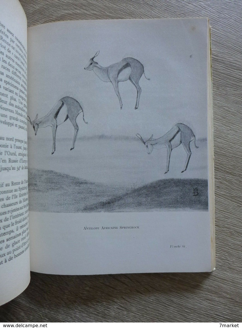 F. Martin Duncan - Les Migrations Mystérieuses  /  1949 - éd. De La Paix - Animales