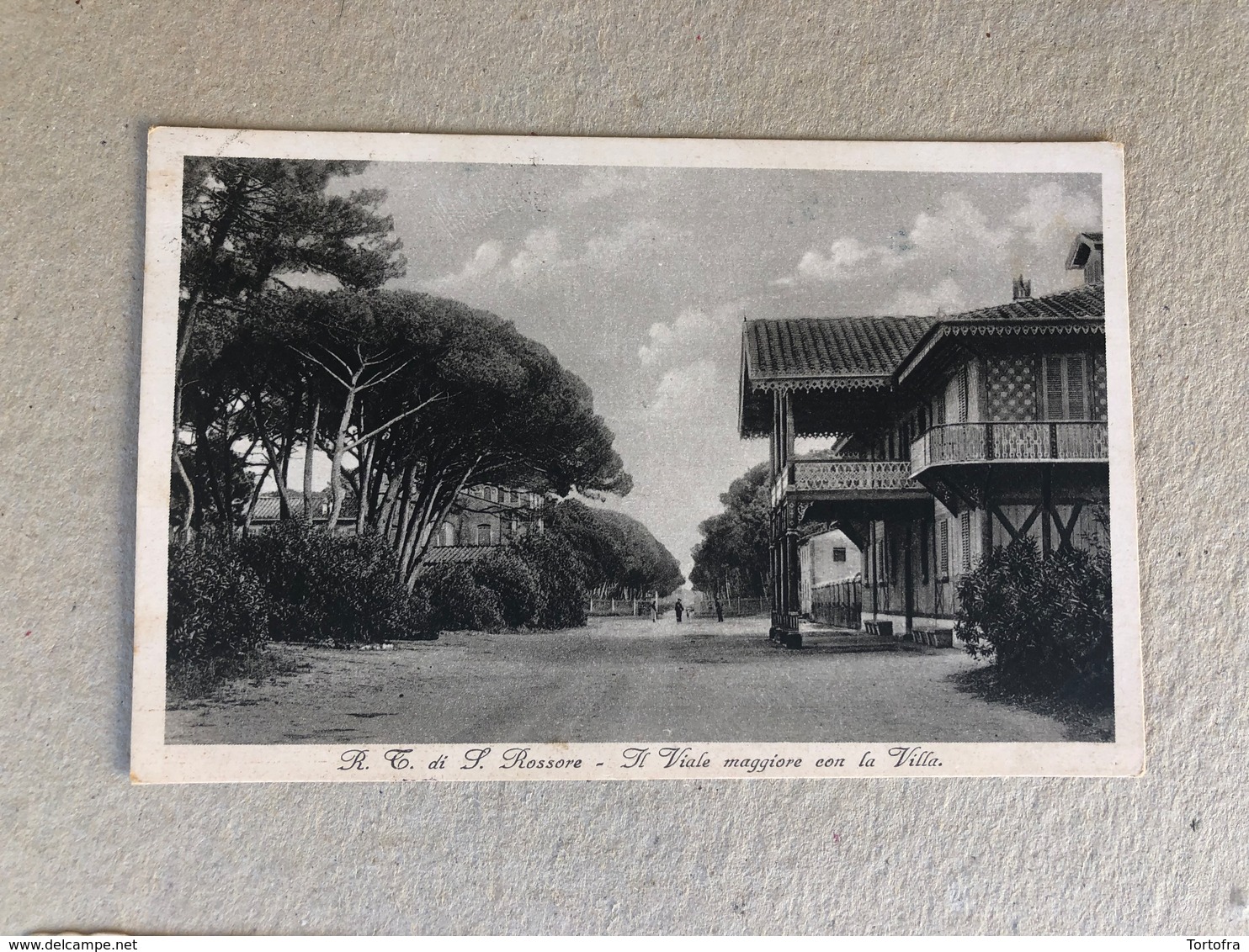 R. T. DI S. ROSSORE IL VIALE MAGGIORE CON LA VILLA  1934 - Pisa