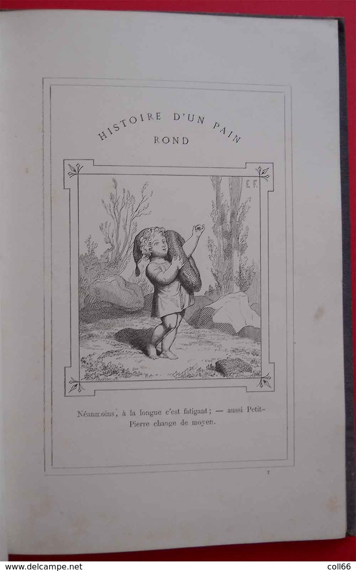 1874 RARE Book Livre Histoire d'un Pain Rond Bread round Par E.Froment Editeur J.Hetzel Paris 34 gravures pleine page