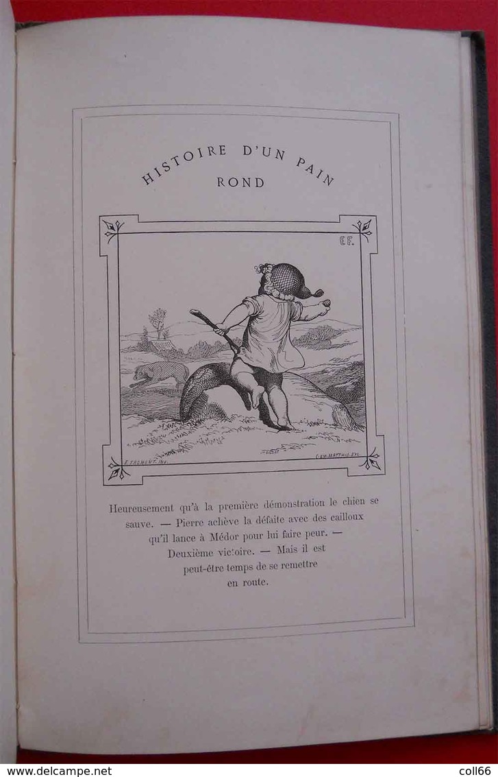 1874 RARE Book Livre Histoire d'un Pain Rond Bread round Par E.Froment Editeur J.Hetzel Paris 34 gravures pleine page