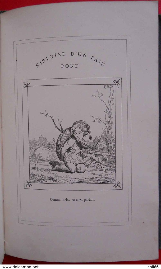 1874 RARE Book Livre Histoire d'un Pain Rond Bread round Par E.Froment Editeur J.Hetzel Paris 34 gravures pleine page