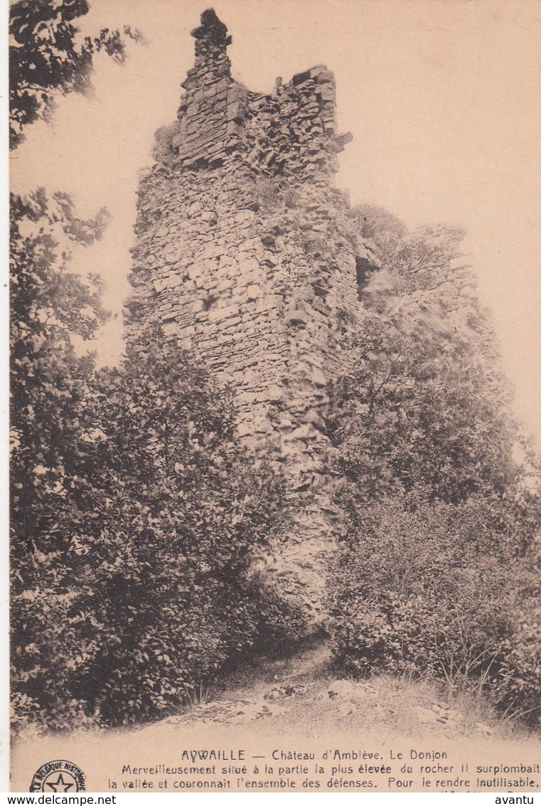 AYWAILLE /  RUINES DU CHATEAU D AMBLEVE  DONJON - Aywaille