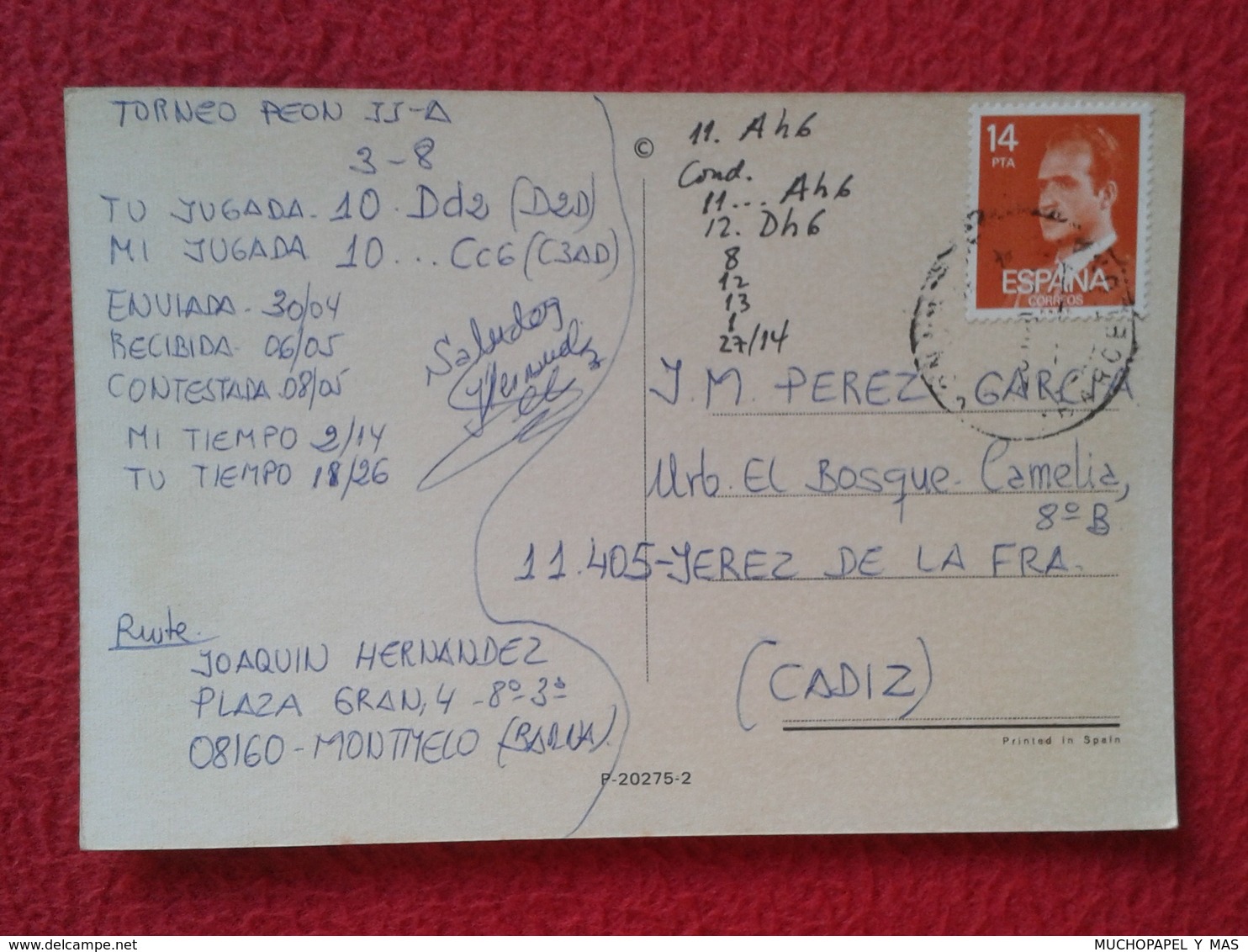 POSTAL POST CARD AJEDREZ CHESS Échecs SCHACH XADREZ GAME PARTIDA FAMILY PLAYING FAMILIA JUGANDO LA FAMILLE MATRIOMONIO.. - Otros & Sin Clasificación