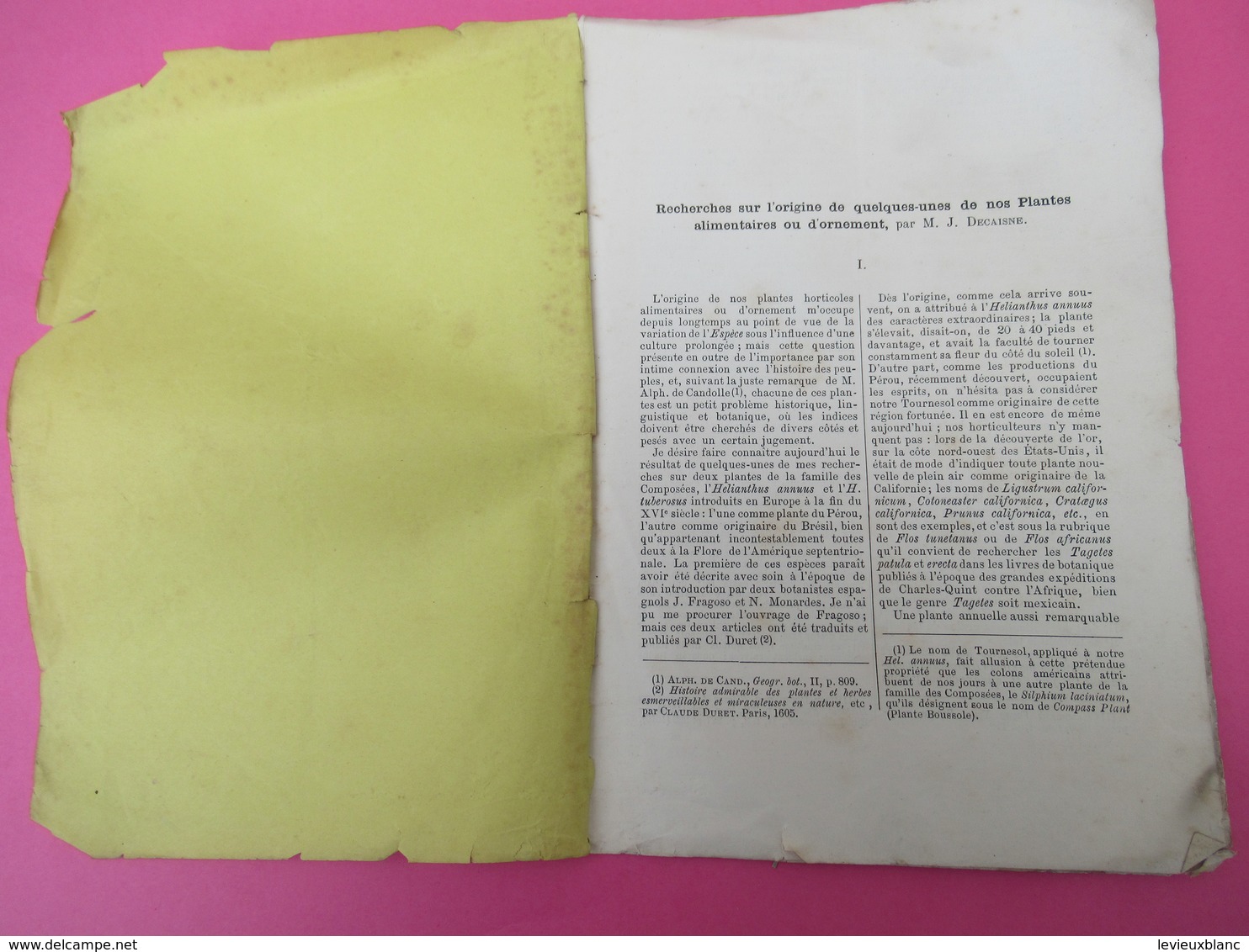 Fascicule/ Recherches Sur L'origine De Quelques-unes De Nos Plantes Alimentaires Ou D'ornement/J DECAISNE/1881     MDP89 - 1801-1900