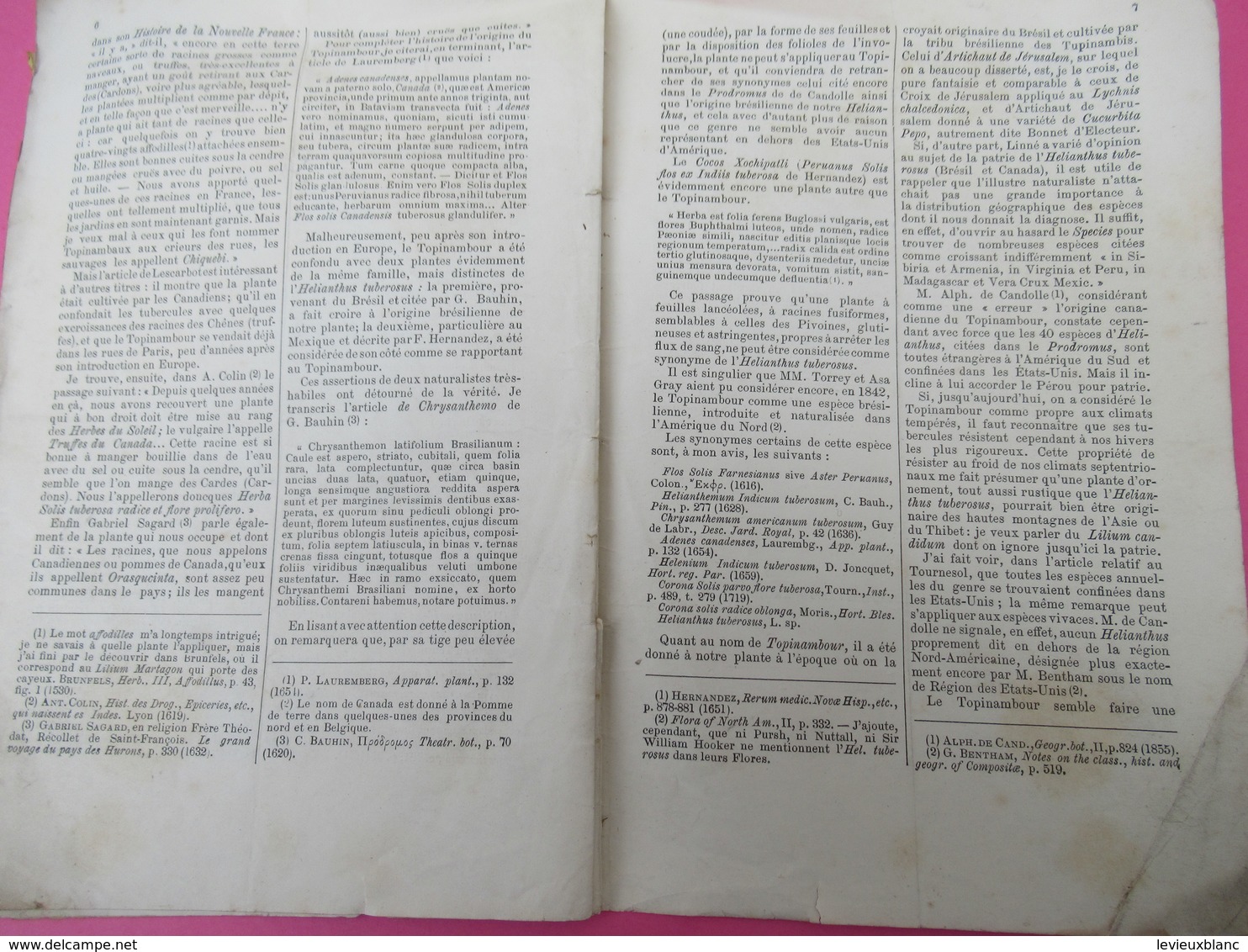 Fascicule/ Recherches Sur L'origine De Quelques-unes De Nos Plantes Alimentaires Ou D'ornement/J DECAISNE/1881     MDP89 - 1801-1900