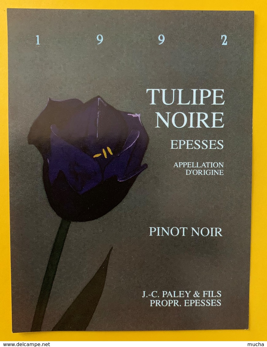 10798  -   Tulipe Noire 1992 Pinot Noir Suisse JC Paley Epesses - Autres & Non Classés