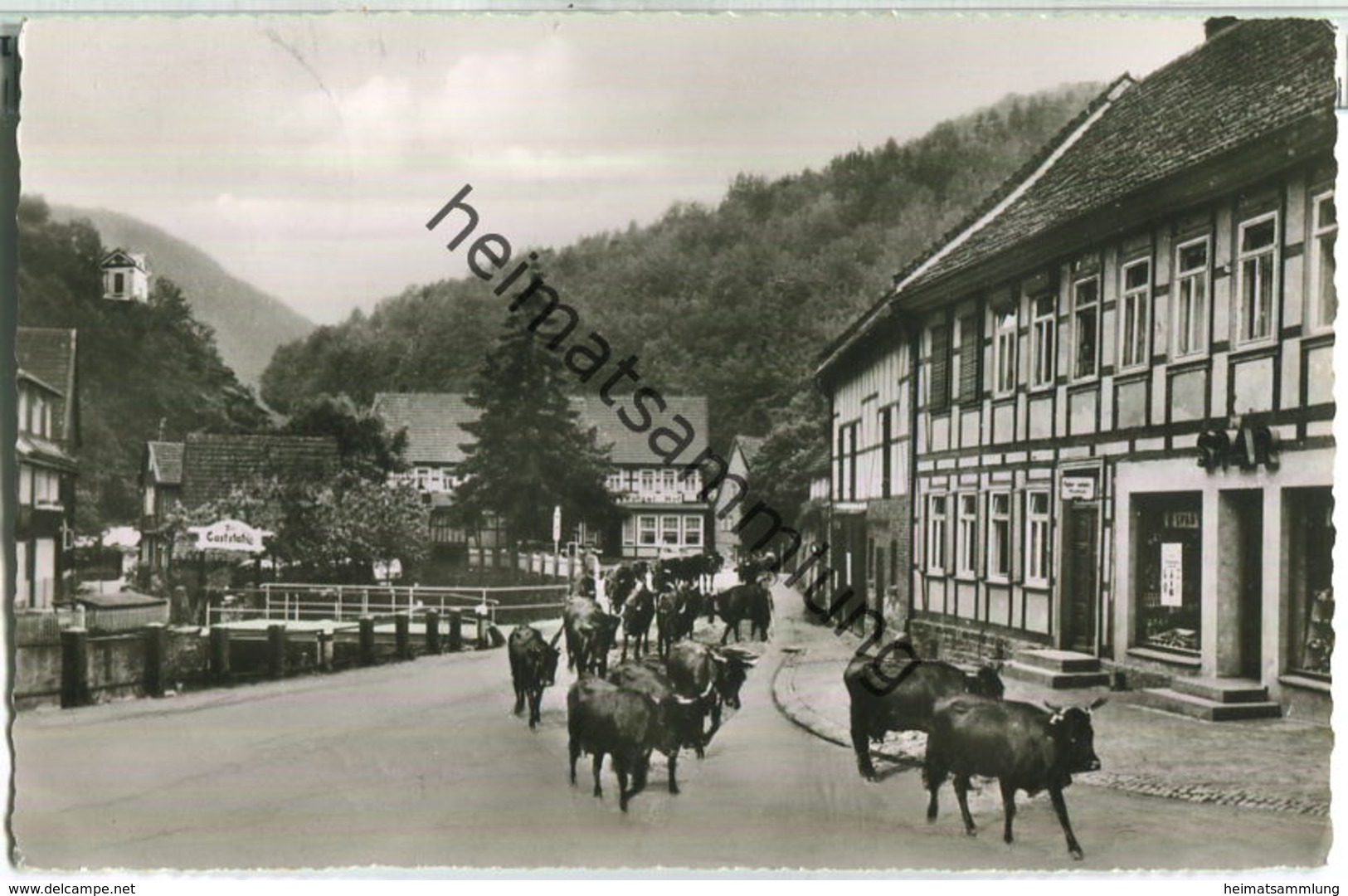 Zorge - Foto-Ansichtskarte - Verlag Carl Thoericht Hann. Münden - Autres & Non Classés