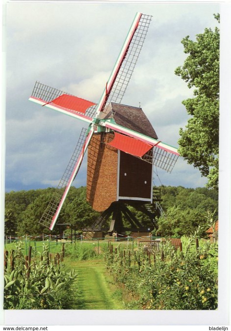 GELRODE - Aarschot (Vlaams-Brabant) - Molen/moulin - Mooie WENSKAART Incl. Envelop Van De Moedermeule In Werking - Aarschot