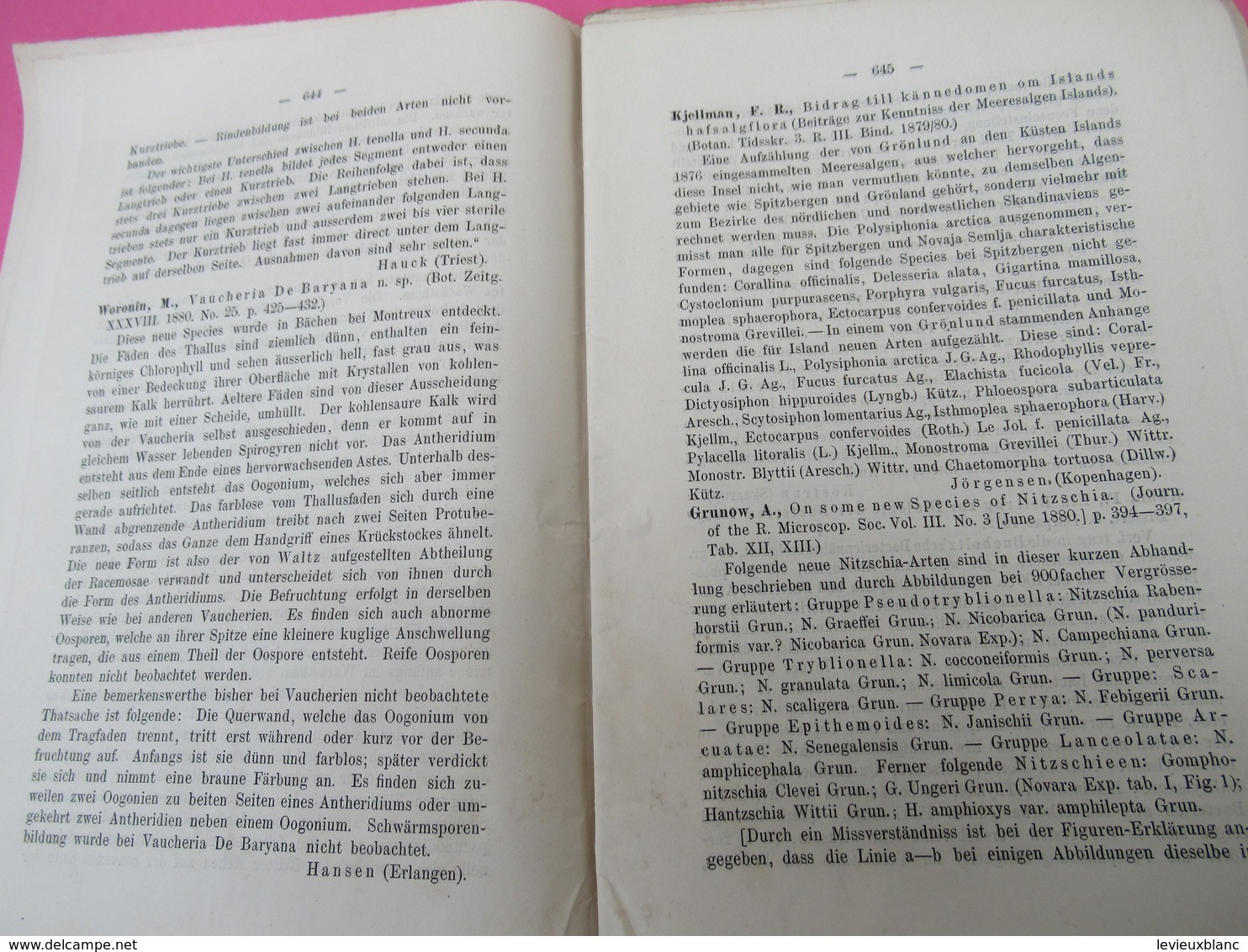 Fascicule/ Botanique/ Botanisches Centralblatt Referirendes Oirgan/ Oscar UHLWORM/ Leipzig//1880     MDP90 - Old Books