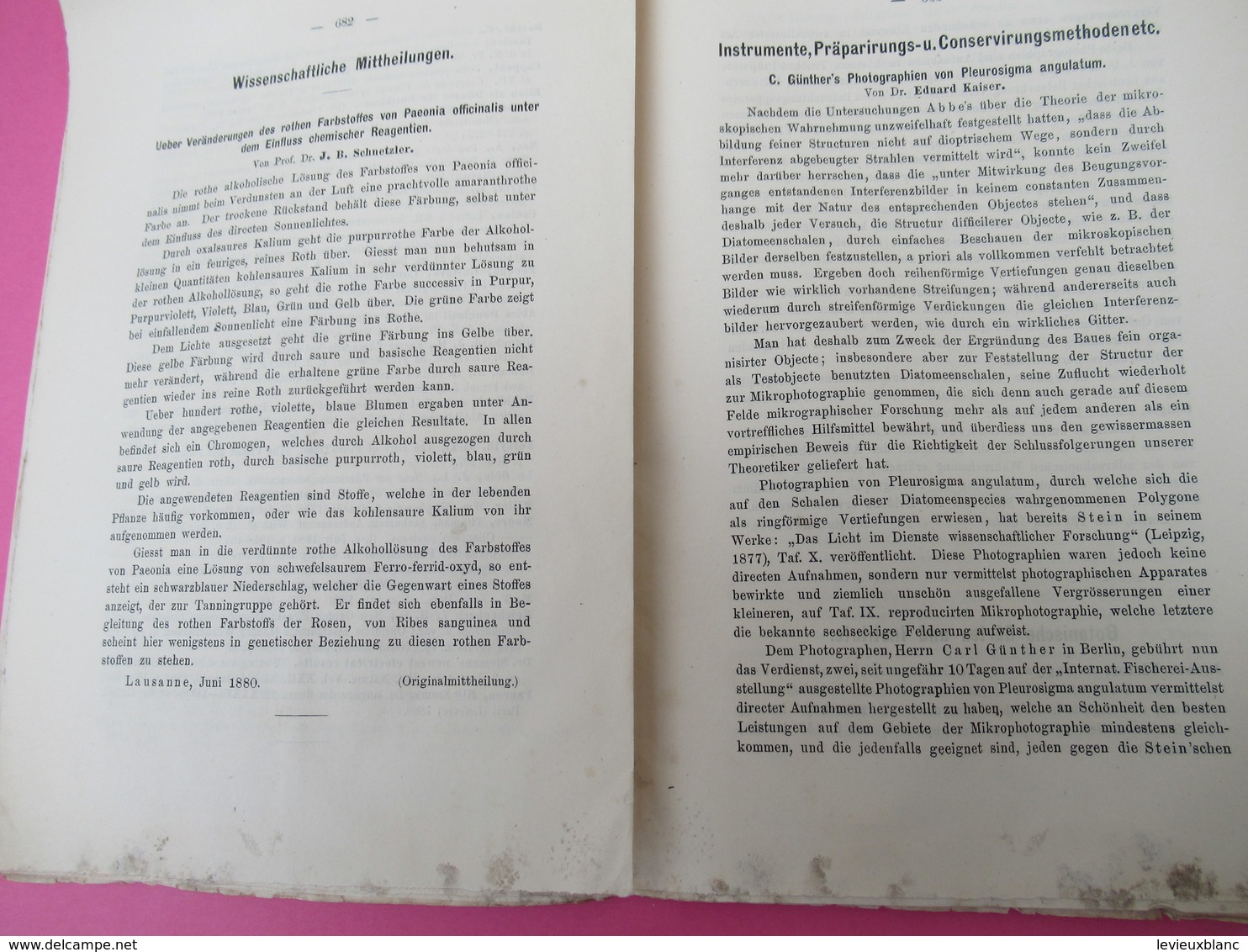 Fascicule/ Botanique/ Botanisches Centralblatt Referirendes Oirgan/ Oscar UHLWORM/ Leipzig//1880     MDP90 - Libri Vecchi E Da Collezione