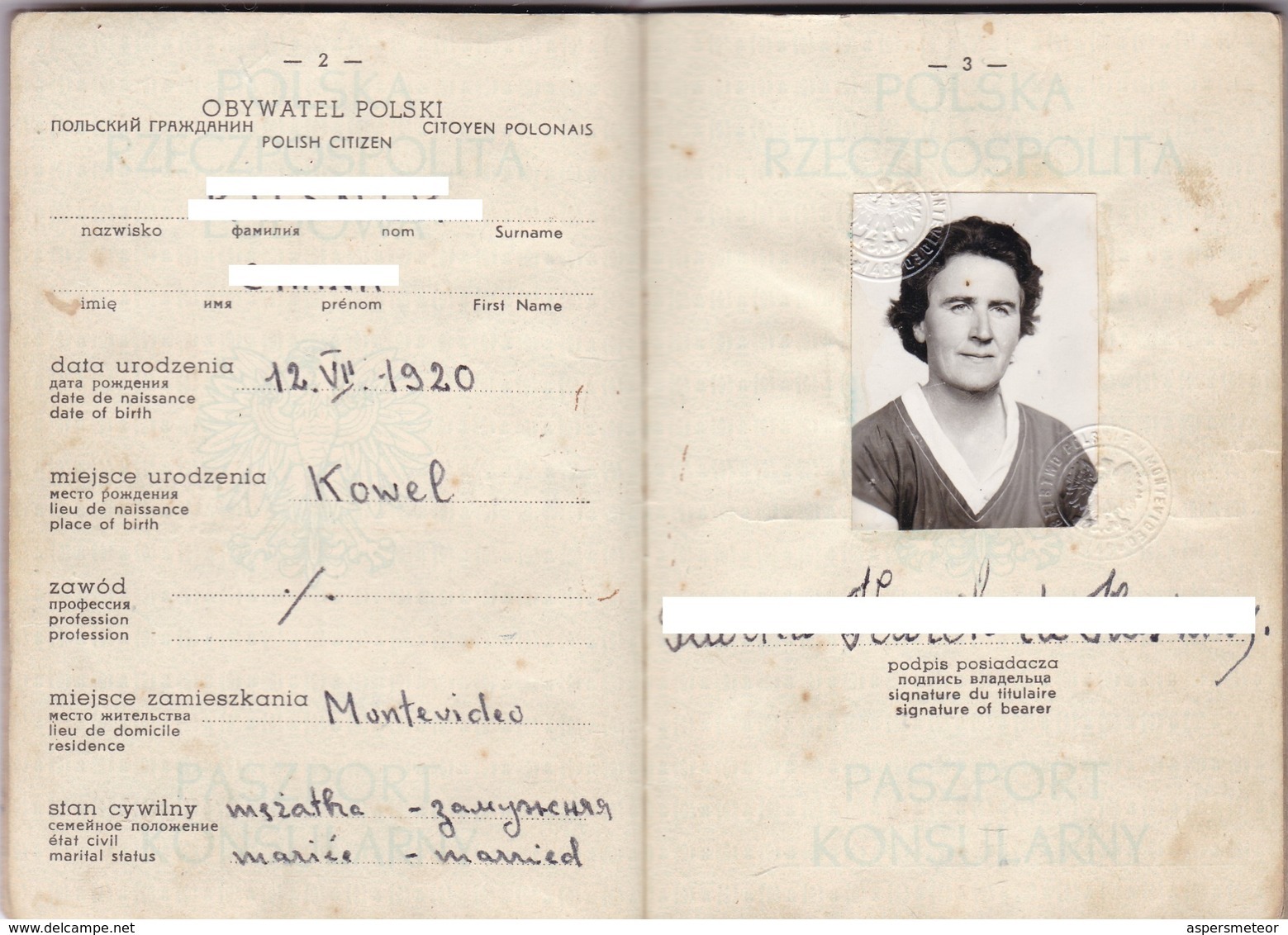 POLSKA POLONIA FEMENINO FEMALE YEAR 1965 PASAPORTE PASSPORT REISEPASS PASSAPORTO - BLEUP - Historical Documents