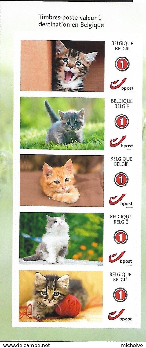 Belg. 2019 - Mystamp "Chatons/Katjes" ** - Unused Stamps