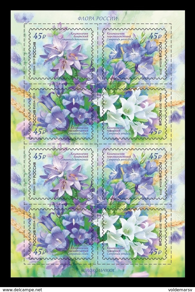 Russia 2019 Mih. 2708/11 Flora Of Russia. Bellflowers (M/S) MNH ** - Unused Stamps