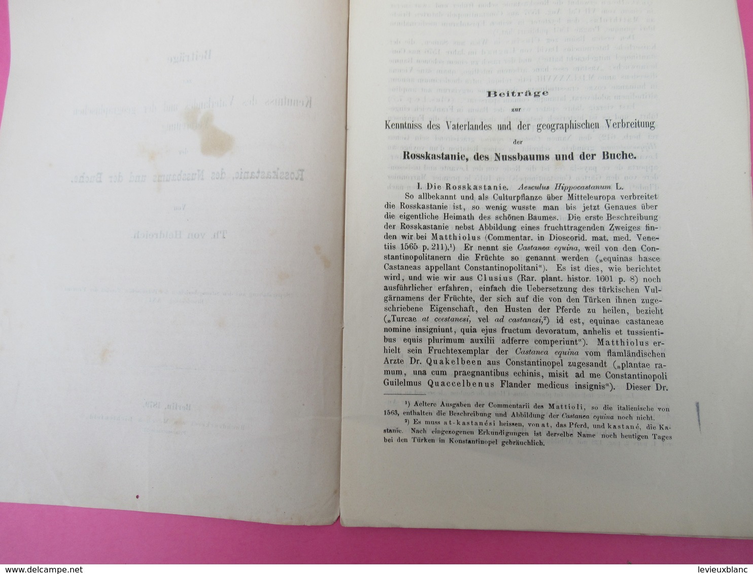 Fascicule/Beiträge Zur Kenntniss Des Vaterlandes Und Der Geographischen /ThéodoreVon HELDREICH/Berlin /1879   MDP93 - Alte Bücher