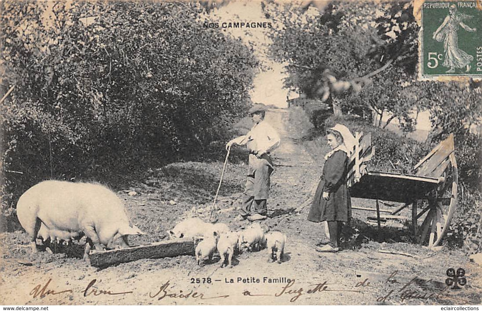 Non Localisé . Centre .Corrèze ??   La Petite Famille . Cochons   (voir Scan) - Sonstige & Ohne Zuordnung