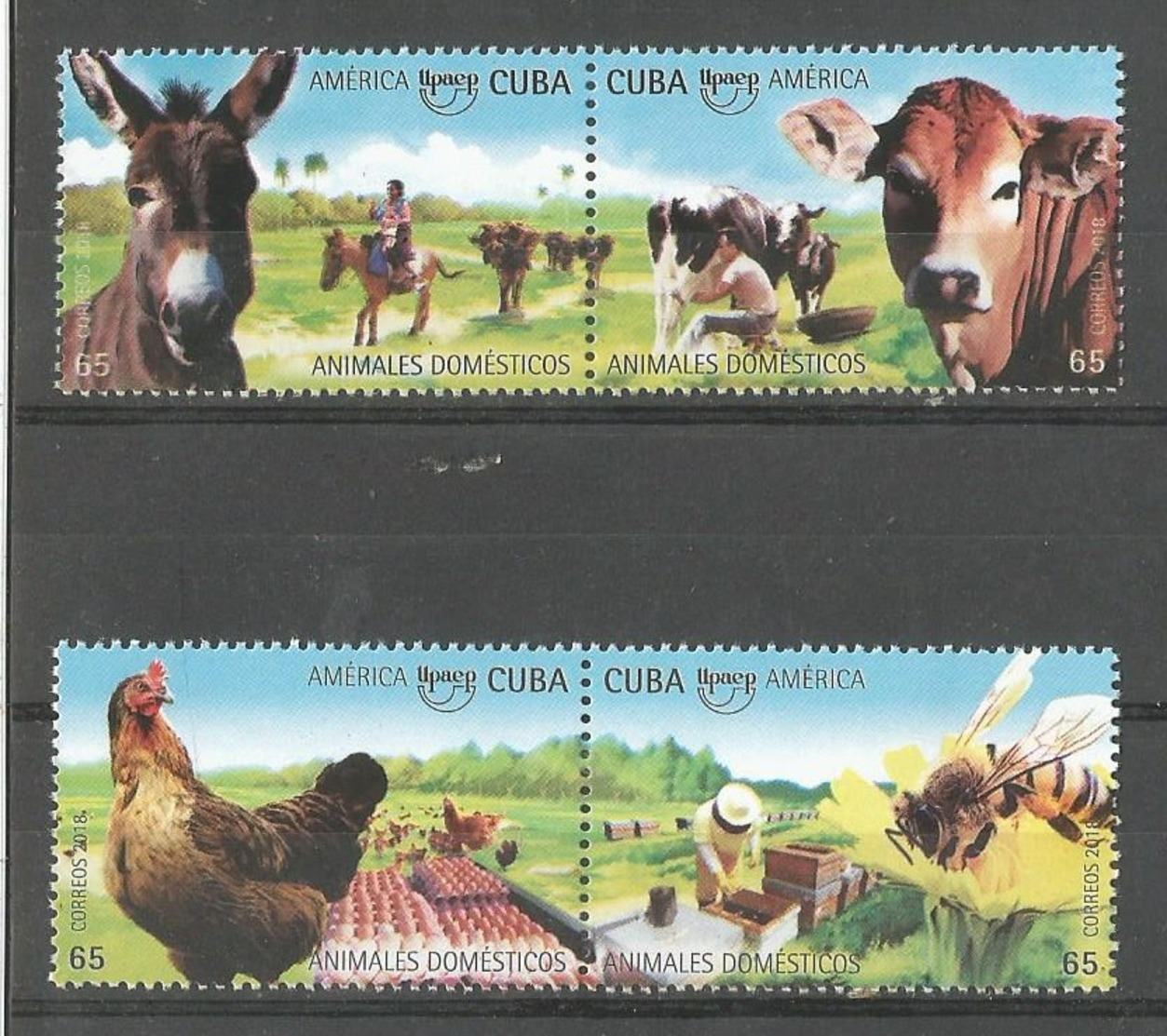 Cuba 2018 America UPAEP Domestic Animals (Chicken, Bees, Cow, Donkey) 4v MNH - Nuovi