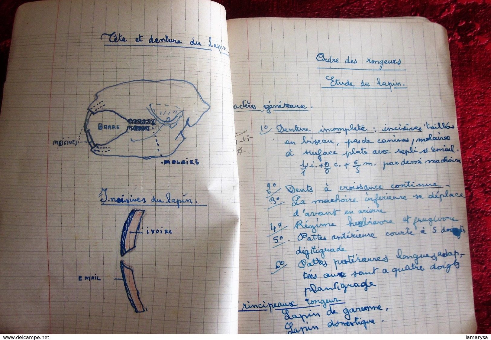 CAHIER ÉCOLIER ÉCRITURE A LA PLUME COURS SUR LES RONGEURS ILLUSTRé De Chromos & Images Album ECOLE AVION ATLANTIC - Albums & Katalogus