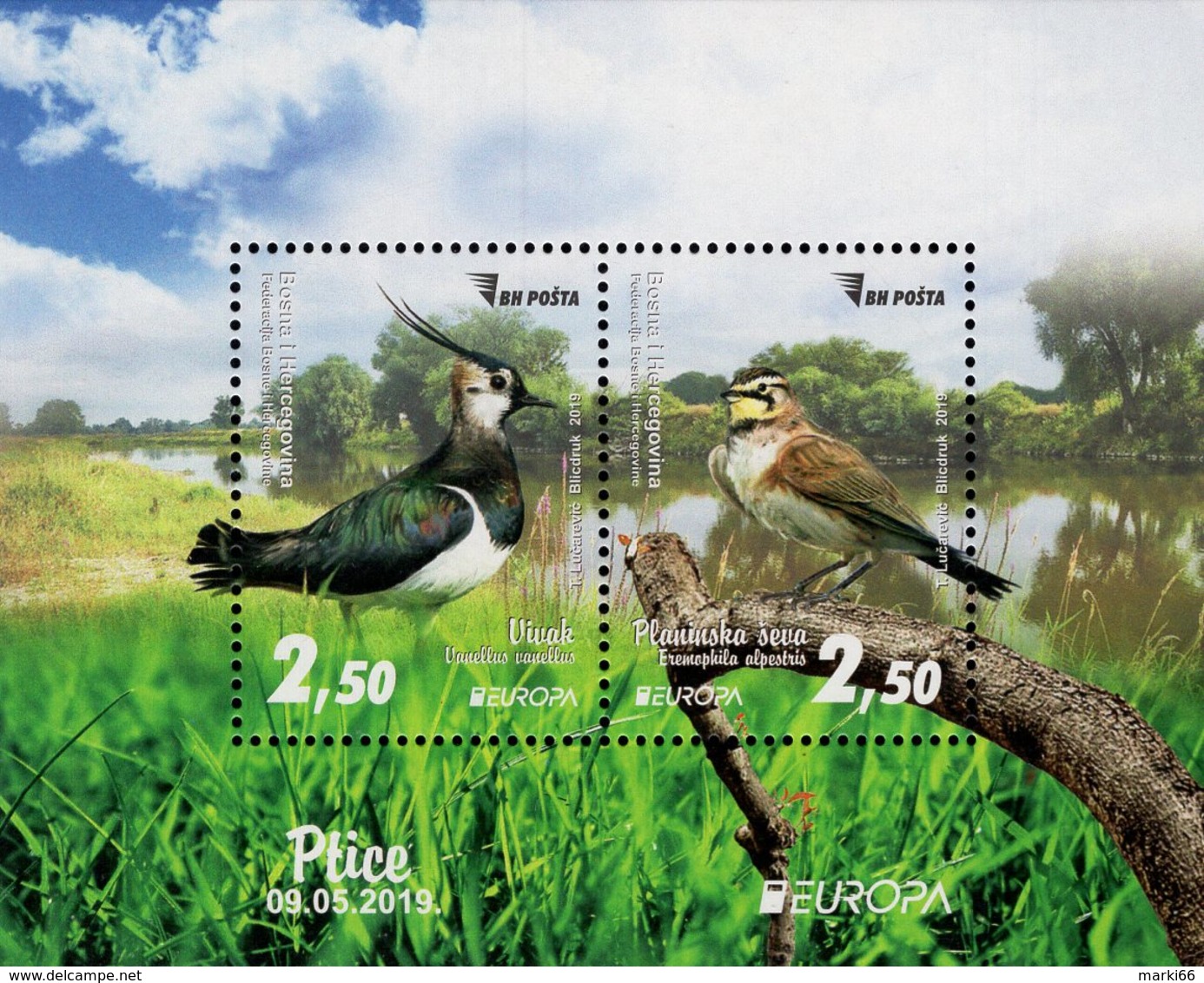 Bosnia & Herzegovina - Sarajevo - 2019 - Europa CEPT - National Birds - Mint Souvenir Sheet - Bosnia Erzegovina