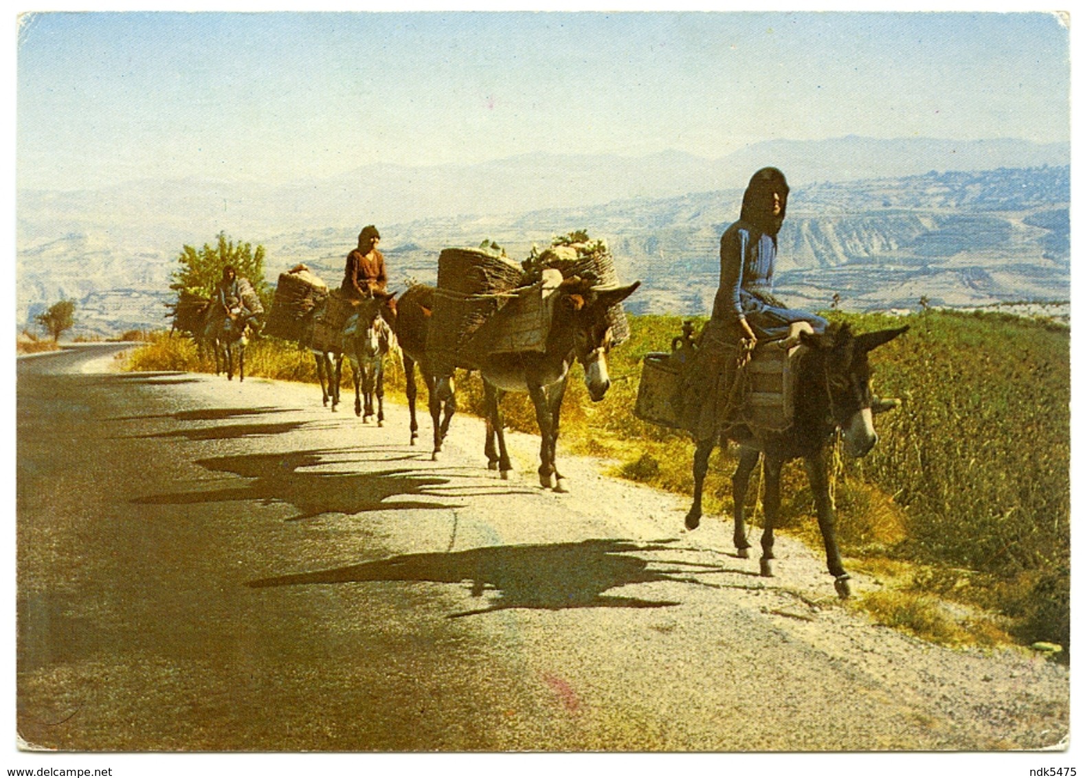 CYPRUS : RETURNING HOME FROM THE GRAPE HARVEST (10 X 15cms Approx.) - Cyprus