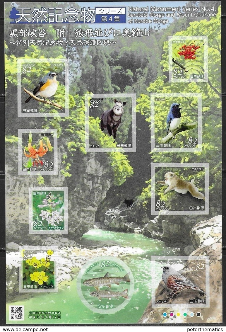 JAPAN, 2019, FAUNA, SARUTOBI GORGE, BIRDS, FISH, FLORA, FAUNA, SHEETLET - Other & Unclassified