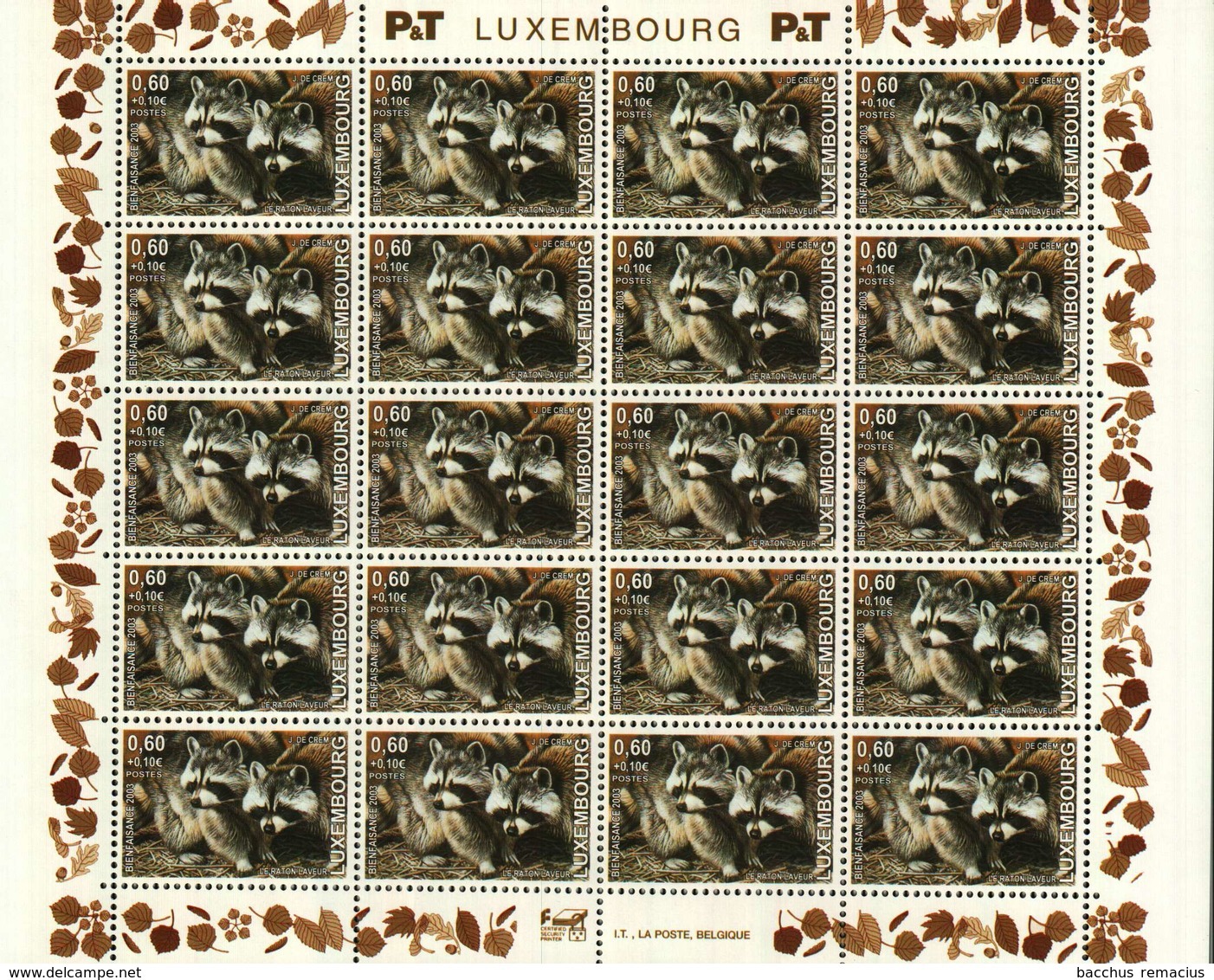 Luxembourg Feuille De 20 Timbres à 0,60 + 0,10 Euro Raton Laveur, Waschbär, Raccoon Timbre De Bienfaisance 2003 - Volledige Vellen