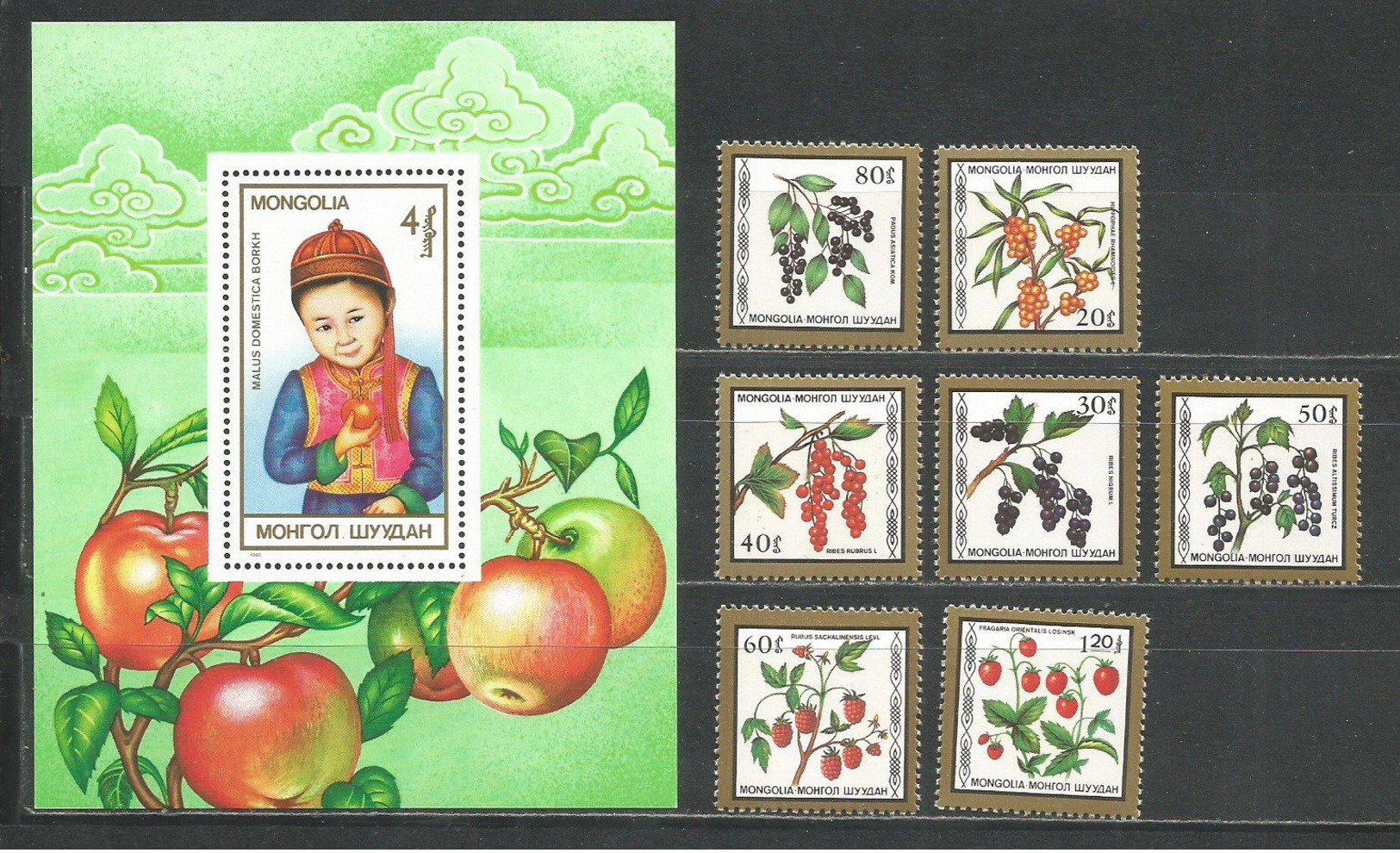 Mongolia. 1987. Flora. Berries - Fruits